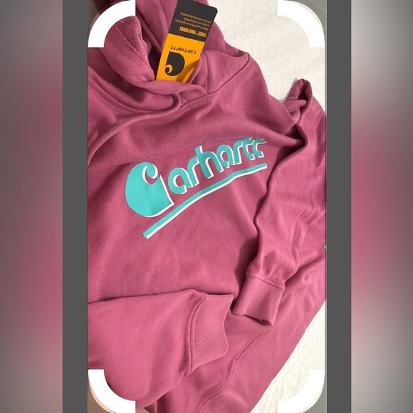 Carhartt Hoodie with Aqua Logo - Picture 3 of 3
